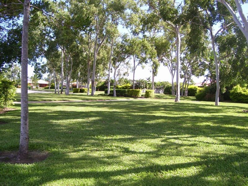 20 Alpina Place, Kirwan QLD 4817