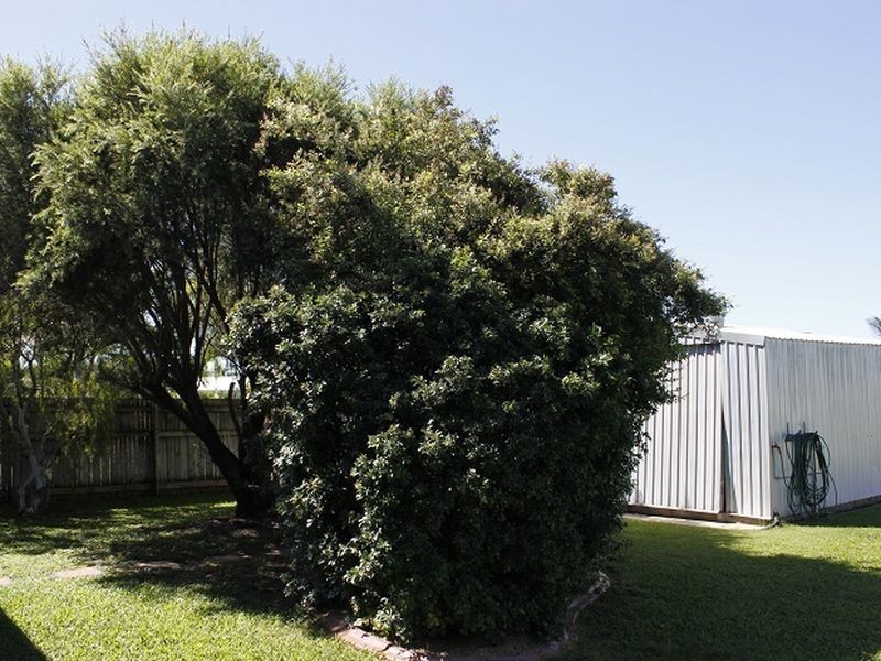 46 Holroyd Street, Wulguru QLD 4811