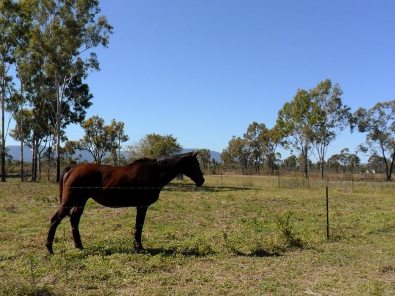 22 Skydiver Road, Woodstock QLD 4816