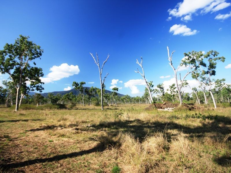 Lot 1 Webb Road, Alligator Creek QLD 4816