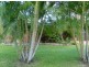 11 O’Callaghan Street, Heatley QLD 4814