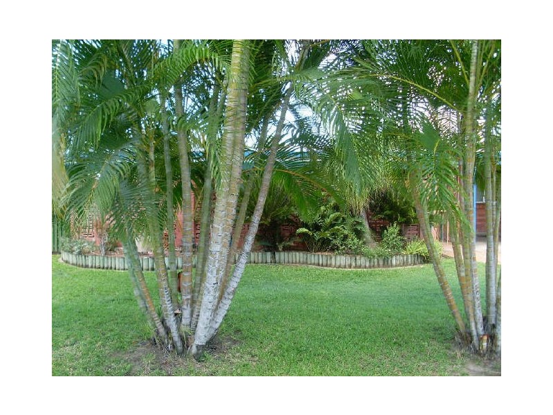 11 O’Callaghan Street, Heatley QLD 4814
