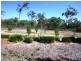 2 Panicum Close, Bohle Plains QLD 4817