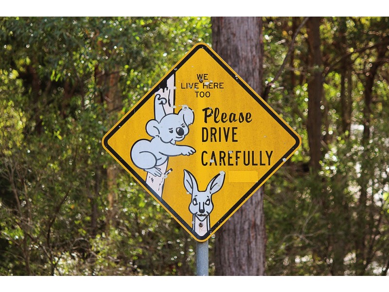 120-122 Sanctuary Drive, Mount Cotton QLD 4165