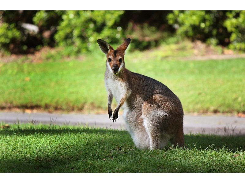 120-122 Sanctuary Drive, Mount Cotton QLD 4165