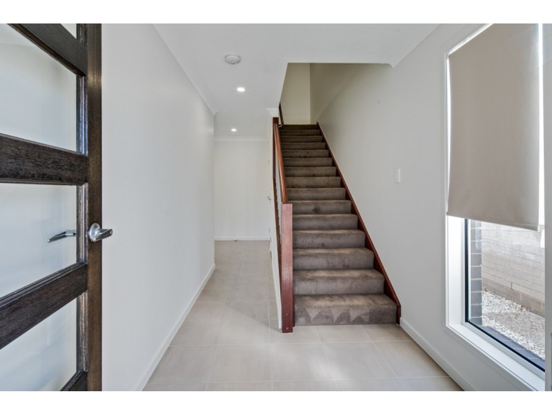 21 Cardwell Circuit, Thornlands QLD 4164