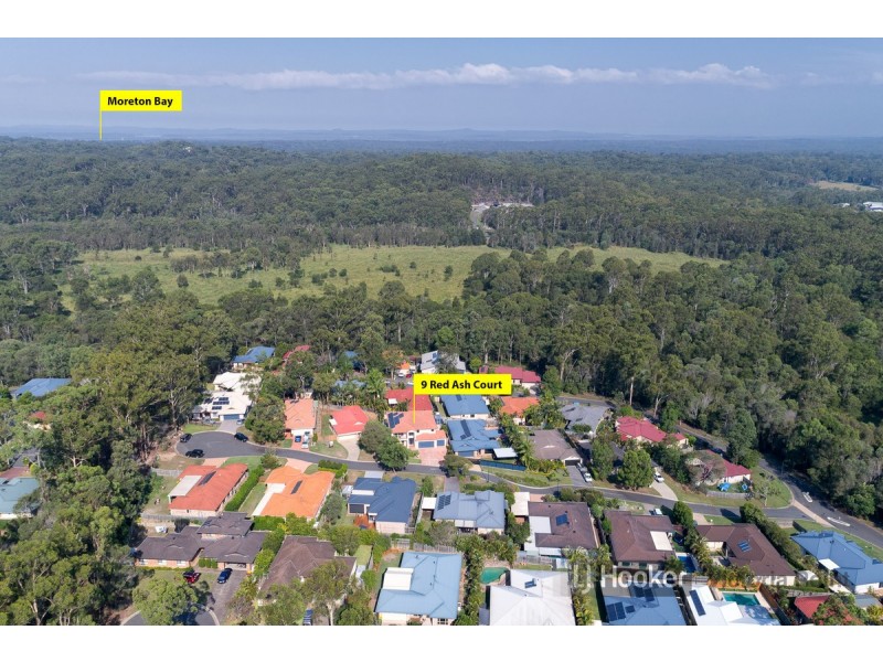 9 Red Ash Court, Mount Cotton QLD 4165