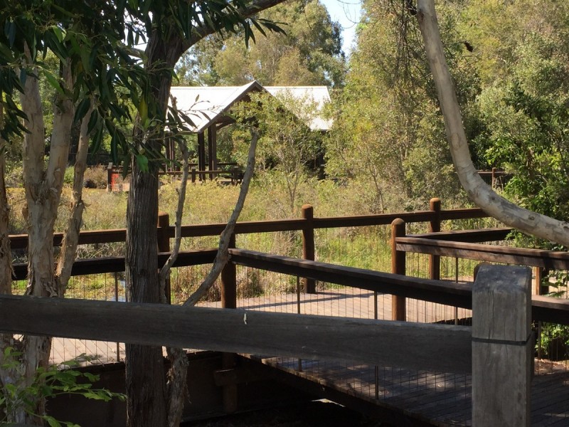 14 Acer Place, Redland Bay QLD 4165