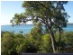 17 Lovell Parade, Lamb Island QLD 4184