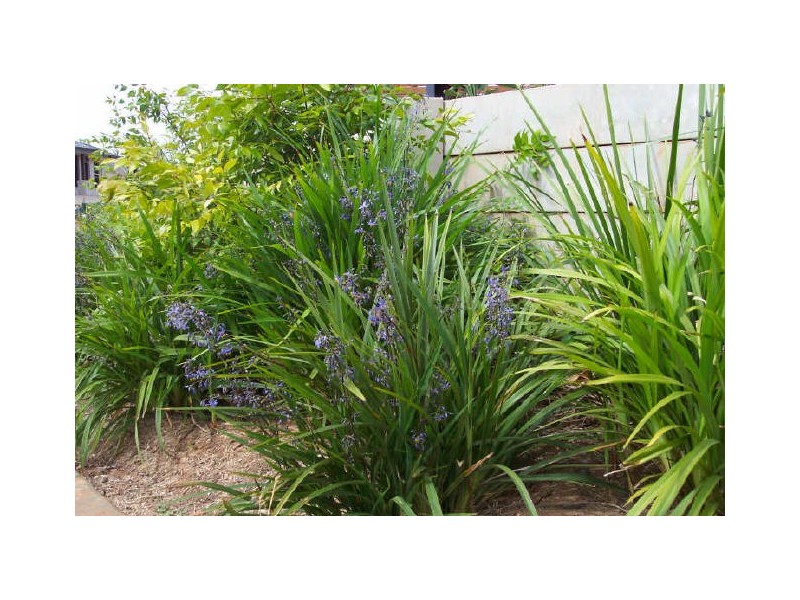 Victoria Point QLD 4165