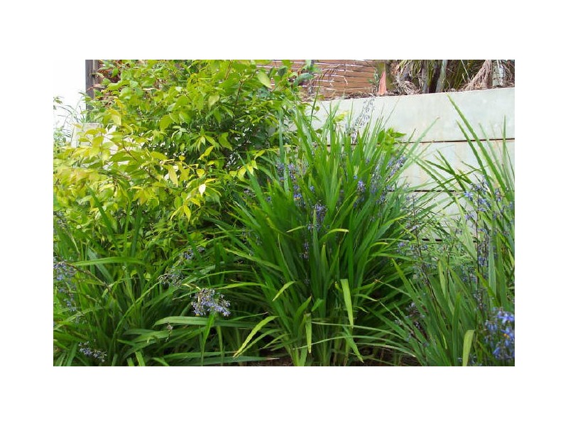 Victoria Point QLD 4165