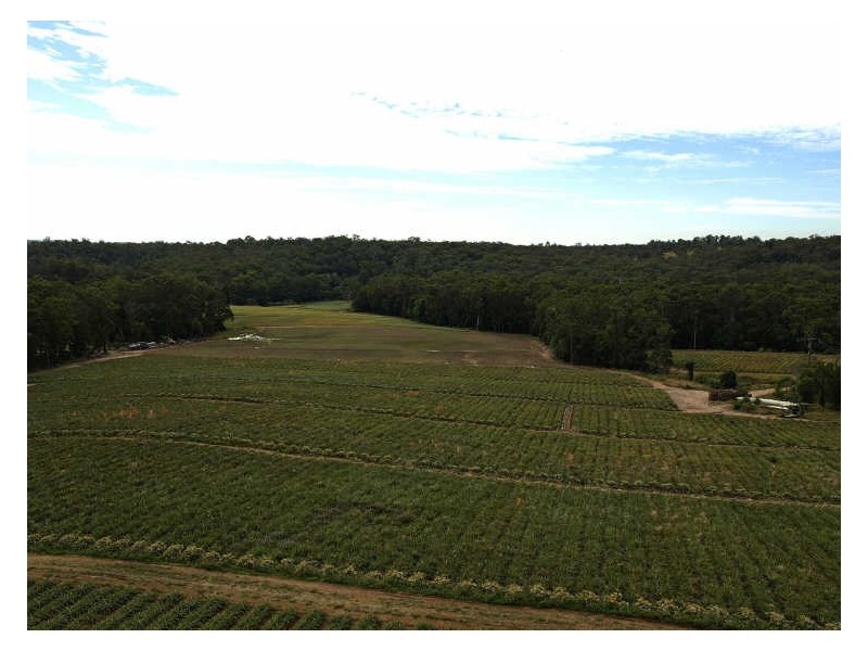 293-297 Avalon Road, Sheldon QLD 4157