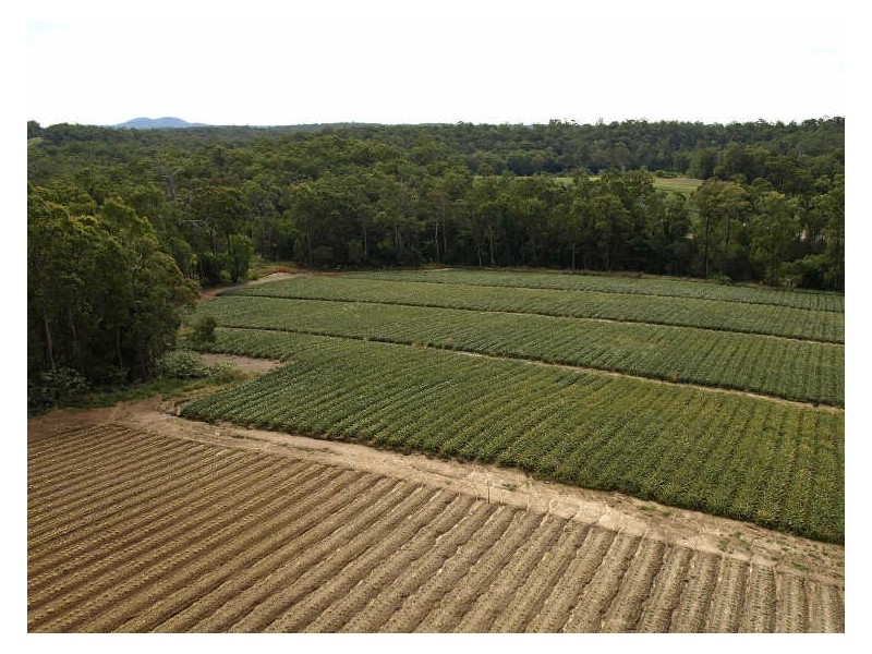 293-297 Avalon Road, Sheldon QLD 4157