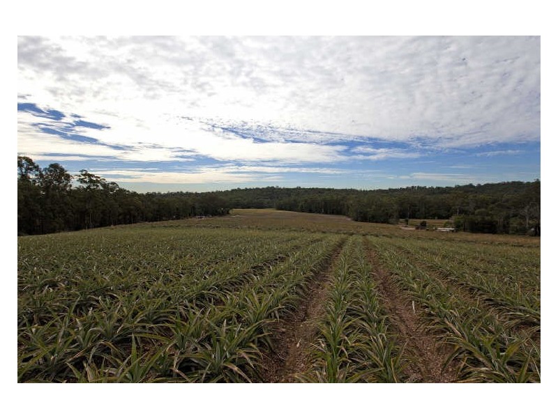 293-297 Avalon Road, Sheldon QLD 4157