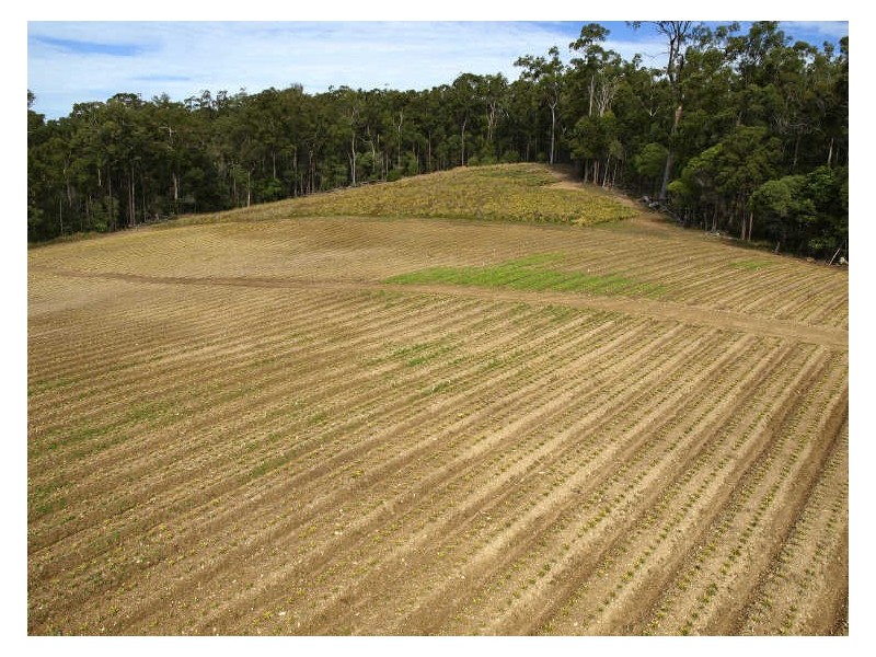 293-297 Avalon Road, Sheldon QLD 4157