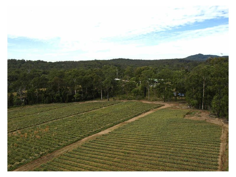 293-297 Avalon Road, Sheldon QLD 4157