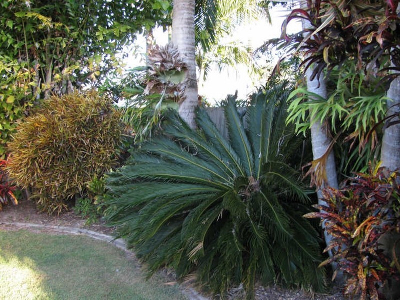 4 Maple Court, Victoria Point QLD 4165