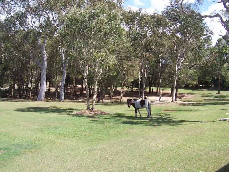 21 Thornton Drive, Thornlands QLD 4164
