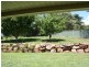 11 Gordonia Drive, Redland Bay QLD 4165