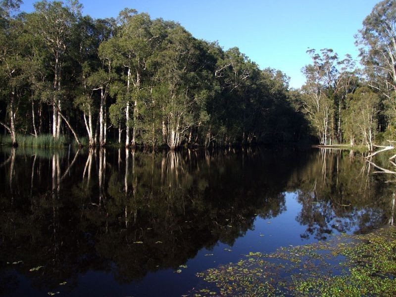 858 Beenleigh-Redland Bay Road, Carbrook QLD 4130