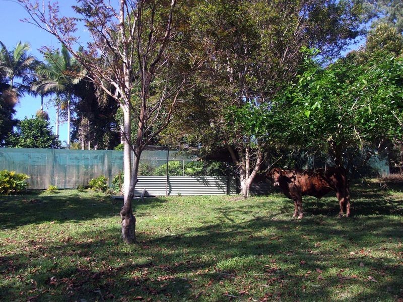 858 Beenleigh-Redland Bay Road, Carbrook QLD 4130