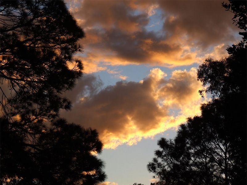 858 Beenleigh-Redland Bay Road, Carbrook QLD 4130