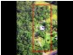 9 Double Jump Road, Redland Bay QLD 4165
