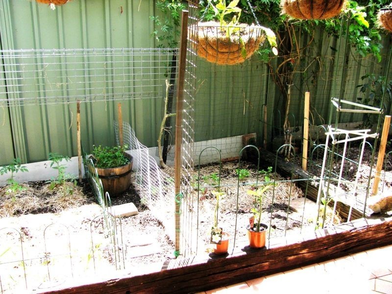 16 Papaya Street, Mount Cotton QLD 4165