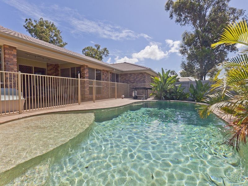 53 Senden Crescent, Manly West QLD 4179