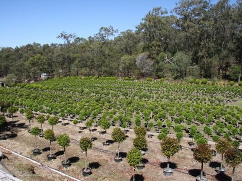 1685 Mt Cotton Road, Mount Cotton QLD 4165