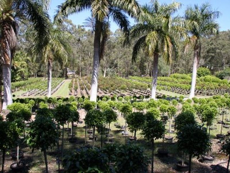 1685 Mt Cotton Road, Mount Cotton QLD 4165