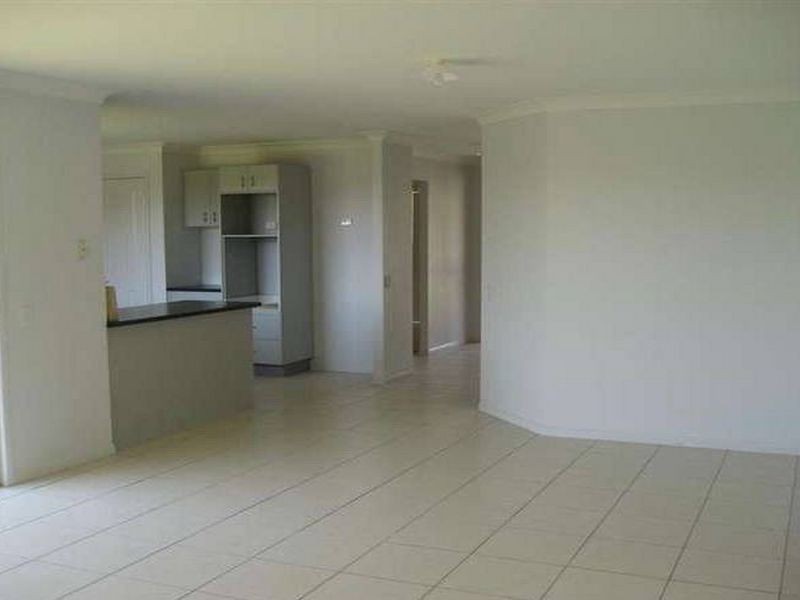 17 Delancey Street, Cleveland QLD 4163