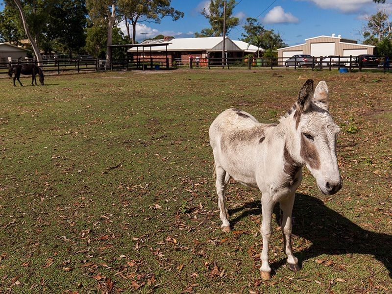 85-91 Warren St (3 Mins to Victoria Point), Mount Cotton QLD 4165