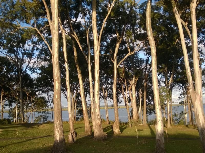 24 Sandy Cove Place, Redland Bay QLD 4165