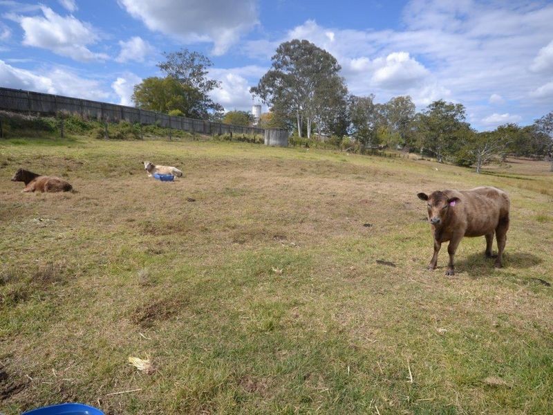 1 Princess Street, Woodford QLD 4514