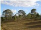 Kilcoy QLD 4515