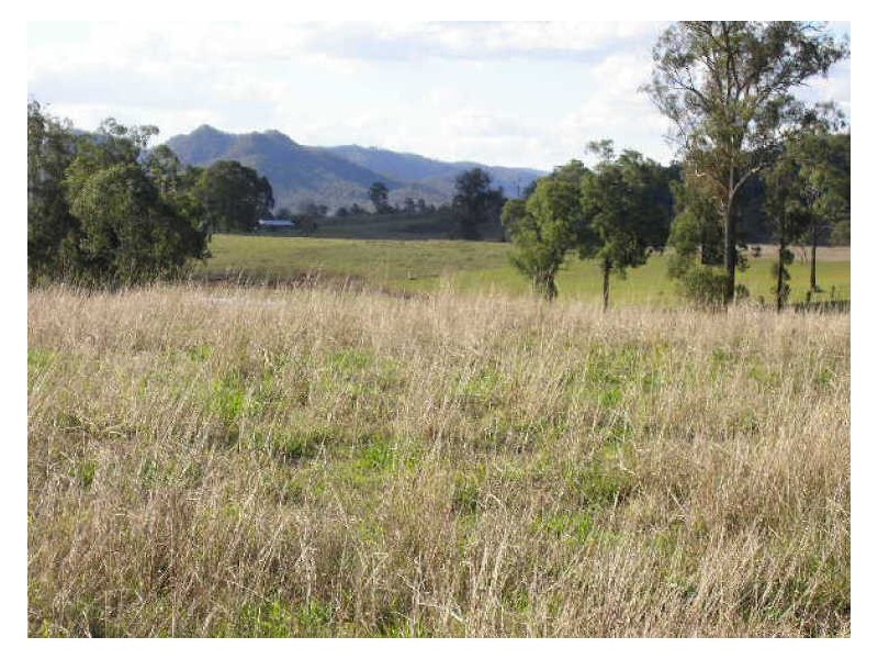 Woodford QLD 4514