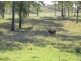 Woodford QLD 4514
