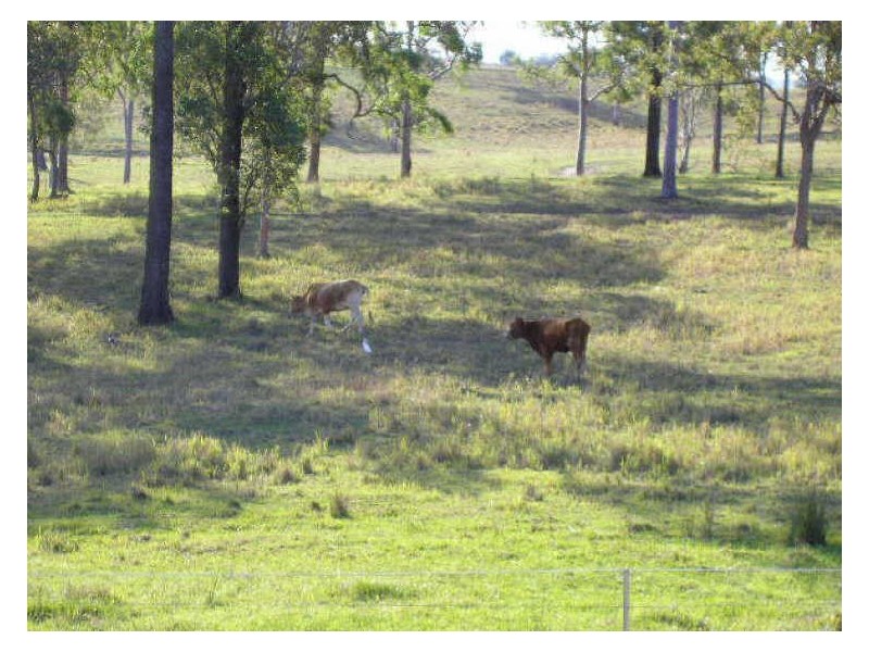 Woodford QLD 4514
