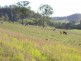 Woodford QLD 4514