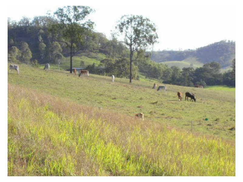 Woodford QLD 4514