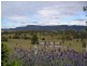 Woodford QLD 4514