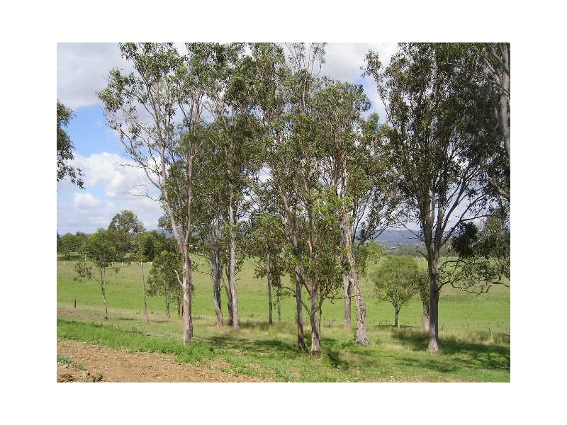 Lot 12 Glen Haven Park Estate, Kilcoy QLD 4515