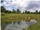 Kilcoy QLD 4515