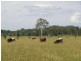 Woodford QLD 4514