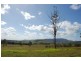 Neurum QLD 4514