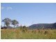 Woodford QLD 4514