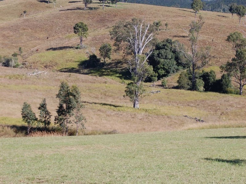 Kilcoy QLD 4515