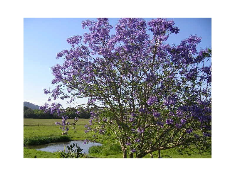 22 Greenhills Court, Kilcoy QLD 4515