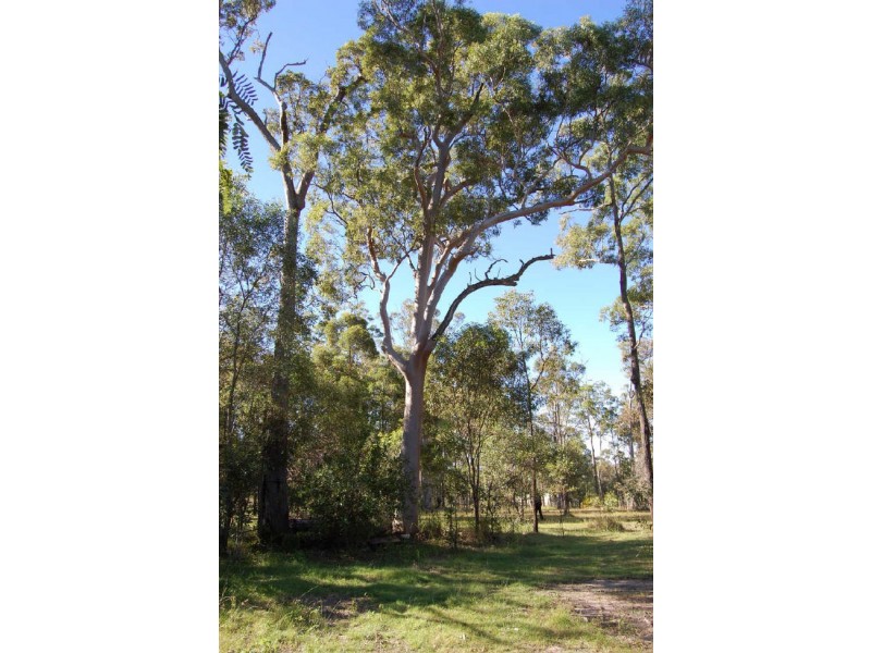 Woodford QLD 4514